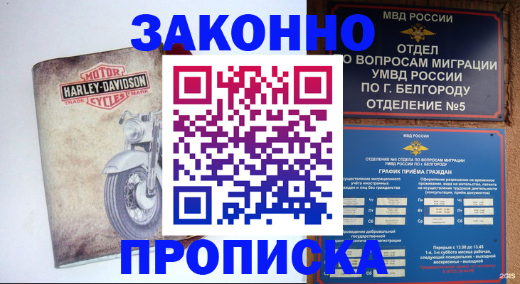 прописка для школы в Каменке